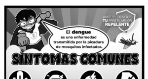 Salud Sonora llama a prevenir el dengue