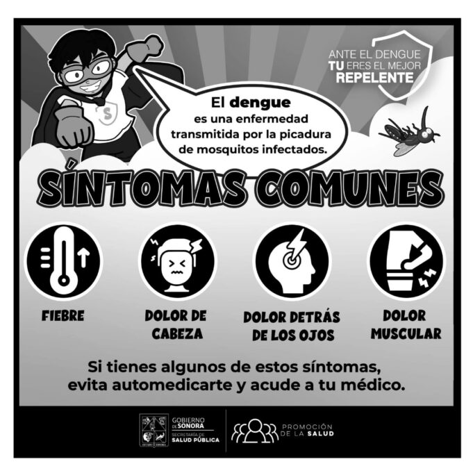 Salud Sonora llama a prevenir el dengue