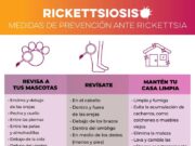 rickettsiosis