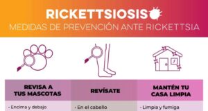 rickettsiosis