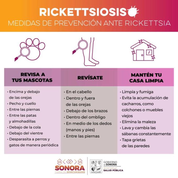 rickettsiosis