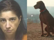 Mujer es acusada de producir y publicar videos en los que supuestamente abusaba sexualmente de su perro