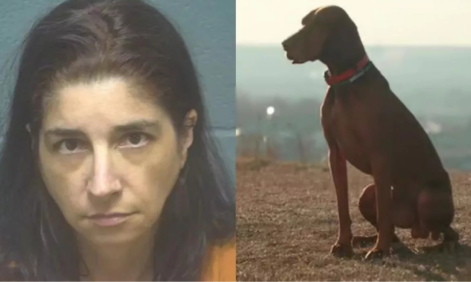 Mujer es acusada de producir y publicar videos en los que supuestamente abusaba sexualmente de su perro